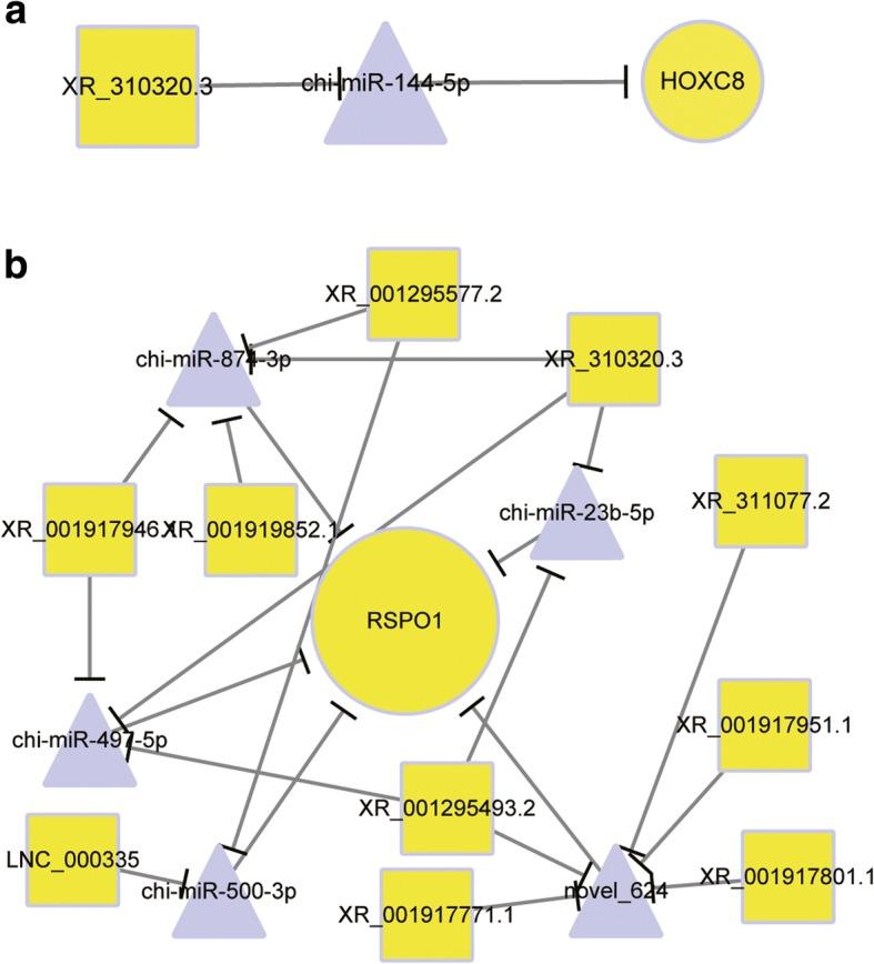 https://cdn.ncbi.nlm.nih.gov/pmc/blobs/003e/6587304/8e3c052b7cc5/12864_2019_5861_Fig5_HTML.jpg