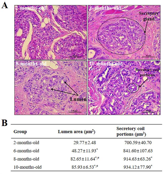 https://cdn.ncbi.nlm.nih.gov/pmc/blobs/0040/12219731/27330ea4253f/41598_2025_3978_Fig5_HTML.jpg