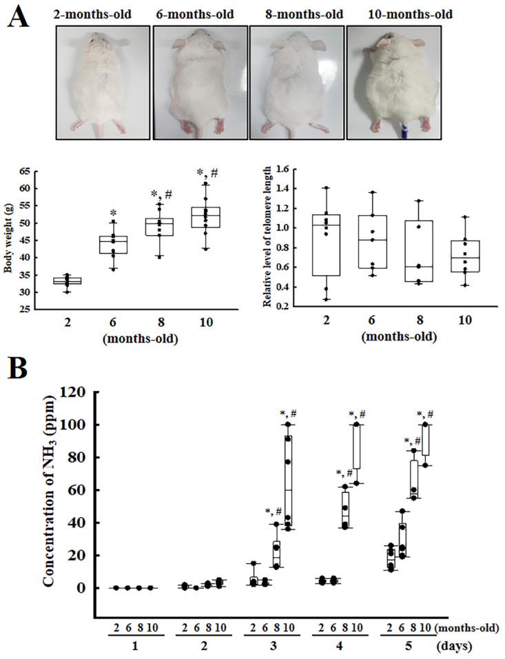 https://cdn.ncbi.nlm.nih.gov/pmc/blobs/0040/12219731/a720d2138448/41598_2025_3978_Fig1_HTML.jpg