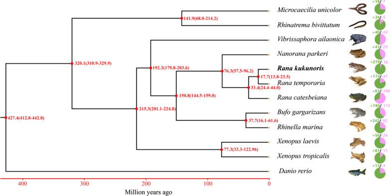 https://cdn.ncbi.nlm.nih.gov/pmc/blobs/0041/9817415/52726d5de40d/12983_2022_482_Fig5_HTML.jpg