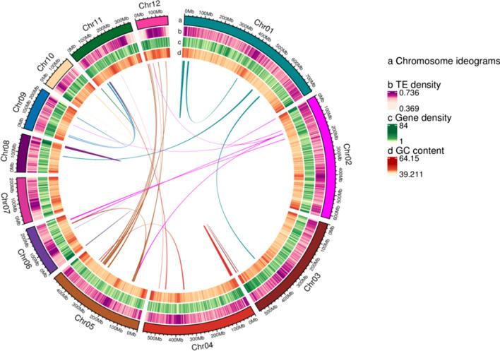 https://cdn.ncbi.nlm.nih.gov/pmc/blobs/0041/9817415/8acf828c3d98/12983_2022_482_Fig2_HTML.jpg
