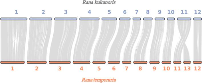 https://cdn.ncbi.nlm.nih.gov/pmc/blobs/0041/9817415/d361363c1f2a/12983_2022_482_Fig3_HTML.jpg