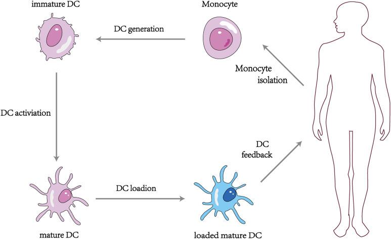 https://cdn.ncbi.nlm.nih.gov/pmc/blobs/0042/10593453/853b85a050bf/fonc-13-1274048-g003.jpg