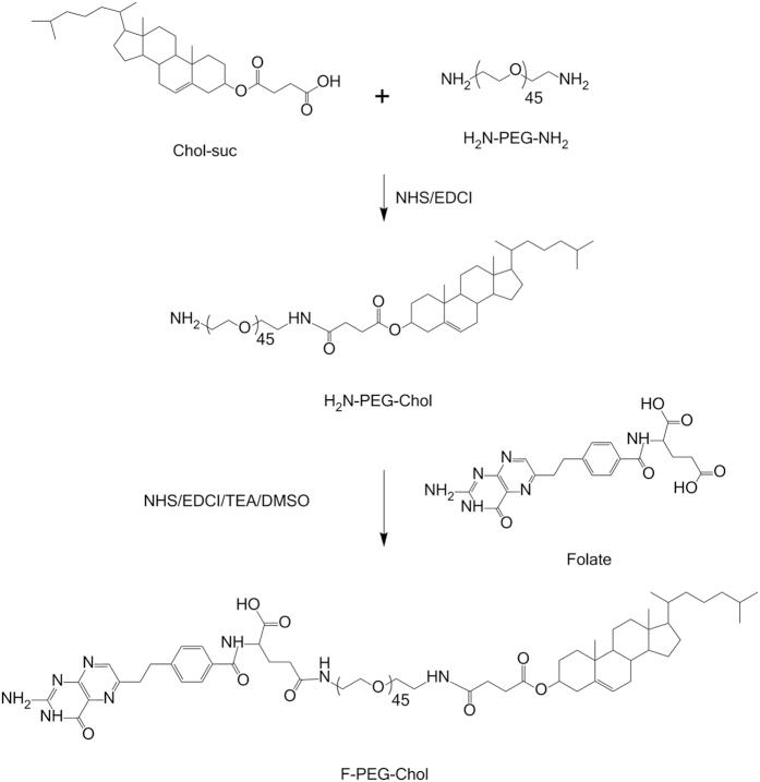 https://cdn.ncbi.nlm.nih.gov/pmc/blobs/0042/5006243/2fa05df3e318/srep32427-f1.jpg