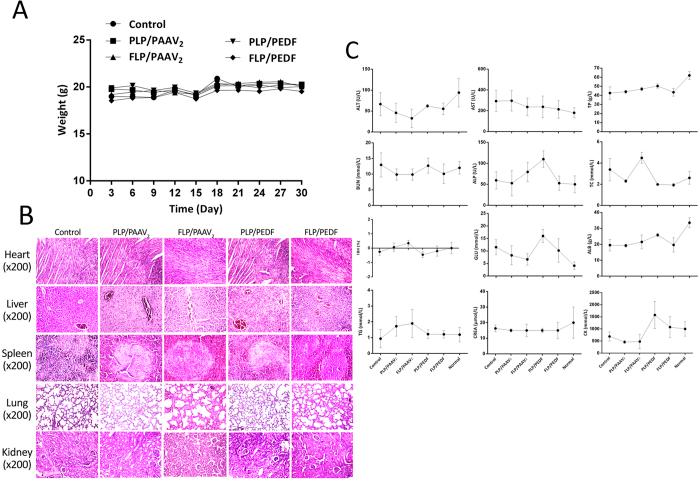https://cdn.ncbi.nlm.nih.gov/pmc/blobs/0042/5006243/6c30b4a26014/srep32427-f9.jpg