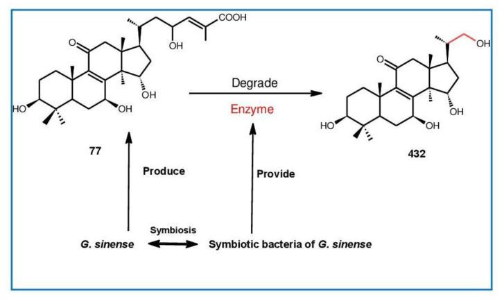 https://cdn.ncbi.nlm.nih.gov/pmc/blobs/0042/9856212/04441a14b876/biomolecules-13-00024-g014.jpg