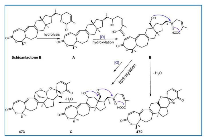 https://cdn.ncbi.nlm.nih.gov/pmc/blobs/0042/9856212/81e4a2fb973b/biomolecules-13-00024-g024.jpg