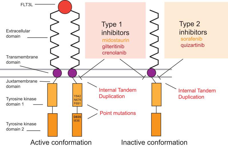 https://cdn.ncbi.nlm.nih.gov/pmc/blobs/0042/9869913/d2e71589d394/OTT-16-31-g0001.jpg