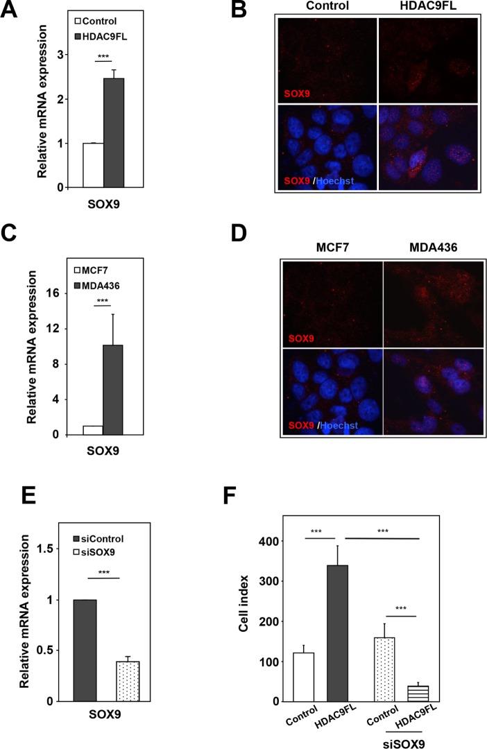 https://cdn.ncbi.nlm.nih.gov/pmc/blobs/0043/4991412/b58043054844/oncotarget-07-19693-g006.jpg