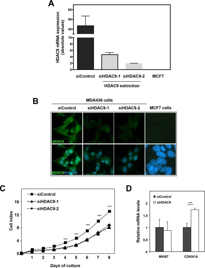 https://cdn.ncbi.nlm.nih.gov/pmc/blobs/0043/4991412/b796c598ad27/oncotarget-07-19693-g004.jpg