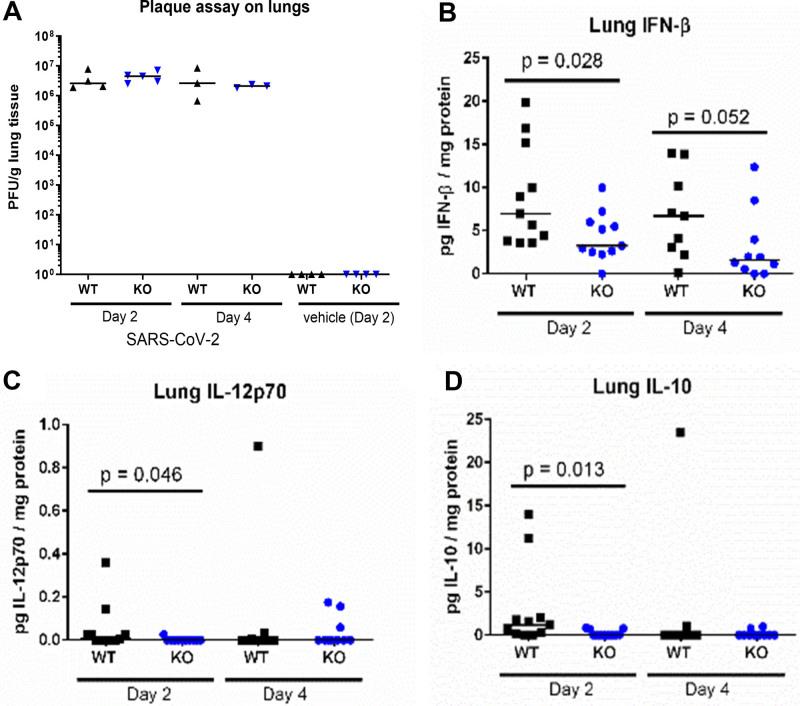 https://cdn.ncbi.nlm.nih.gov/pmc/blobs/0044/11918655/cb7716c801f0/cc9-7-e1225-g002.jpg