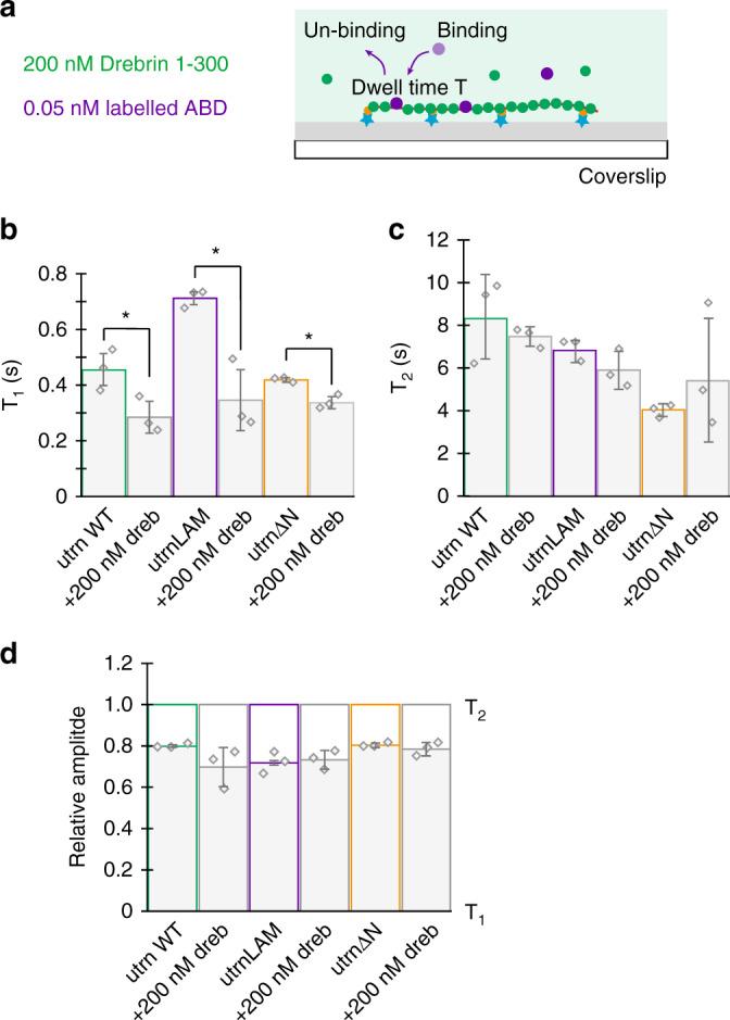 https://cdn.ncbi.nlm.nih.gov/pmc/blobs/0044/7688639/64a82a036a2d/41467_2020_19768_Fig5_HTML.jpg