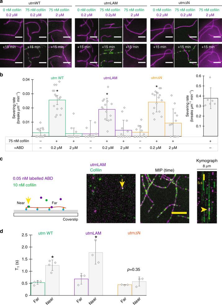 https://cdn.ncbi.nlm.nih.gov/pmc/blobs/0044/7688639/7395cbdffd96/41467_2020_19768_Fig4_HTML.jpg