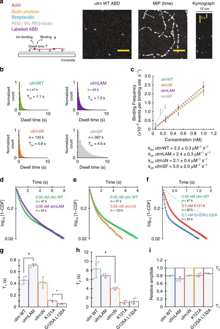 https://cdn.ncbi.nlm.nih.gov/pmc/blobs/0044/7688639/83a6ba9c5ef0/41467_2020_19768_Fig2_HTML.jpg