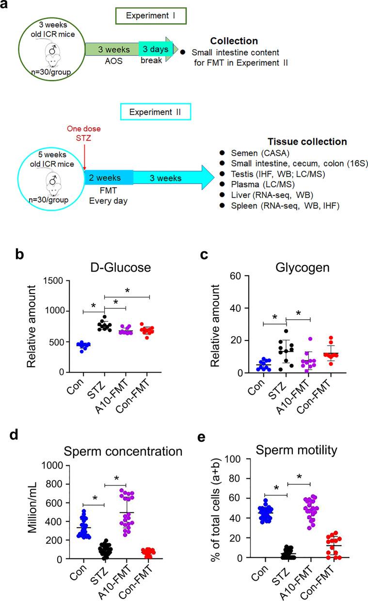 https://cdn.ncbi.nlm.nih.gov/pmc/blobs/0048/9036783/d325ed996cbc/10020_2022_473_Fig1_HTML.jpg
