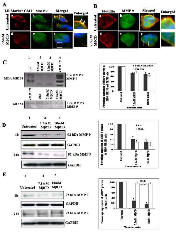 https://cdn.ncbi.nlm.nih.gov/pmc/blobs/0049/3002355/5aa2960adff1/1471-2407-10-647-2.jpg