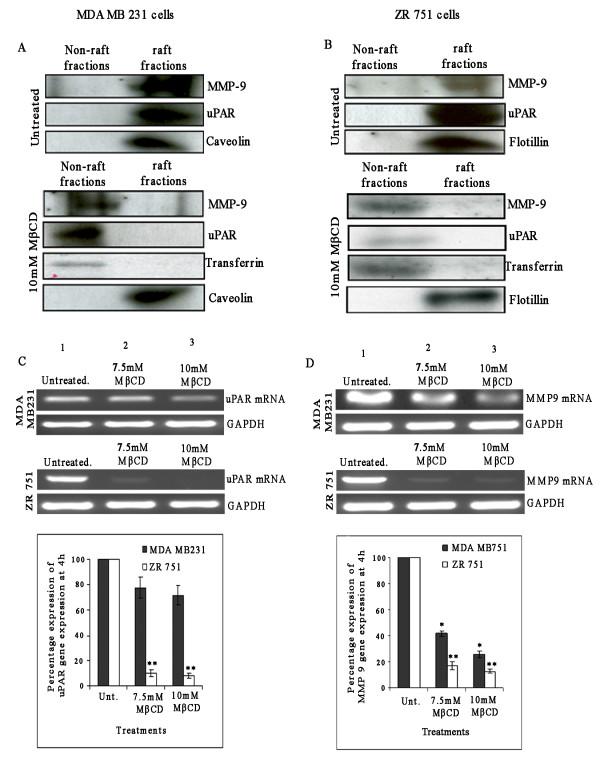 https://cdn.ncbi.nlm.nih.gov/pmc/blobs/0049/3002355/b39ad2cac050/1471-2407-10-647-4.jpg