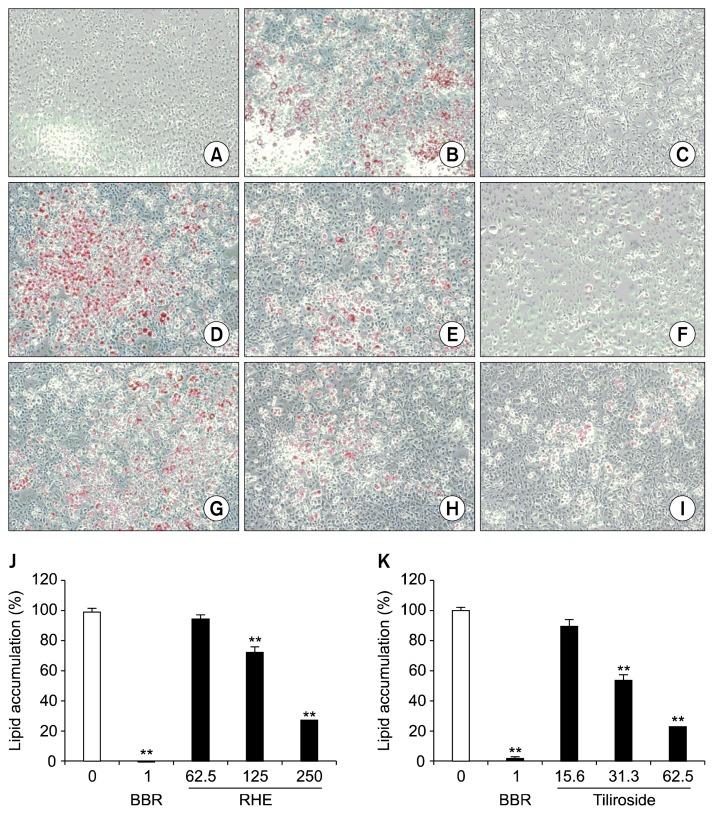 https://cdn.ncbi.nlm.nih.gov/pmc/blobs/004a/3892499/84ff9c8aad2c/pnf018-02-01f2.jpg