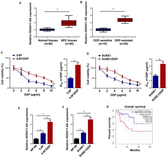 https://cdn.ncbi.nlm.nih.gov/pmc/blobs/004b/8100958/42f3273d430c/ol-21-06-12754-g00.jpg