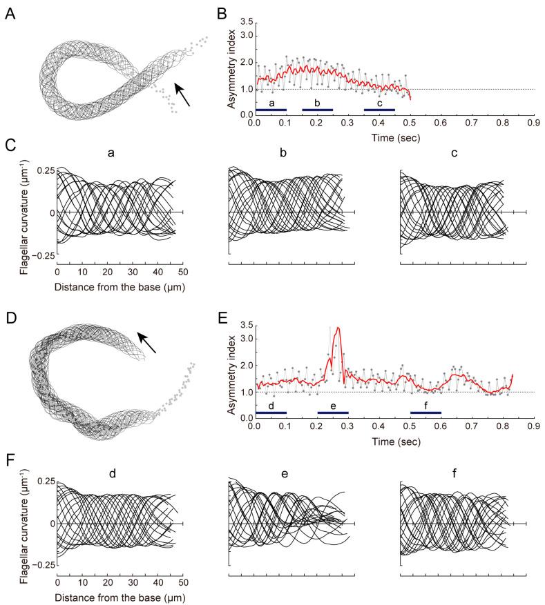 https://cdn.ncbi.nlm.nih.gov/pmc/blobs/004c/10668965/488ba56eb108/biomolecules-13-01594-g002.jpg