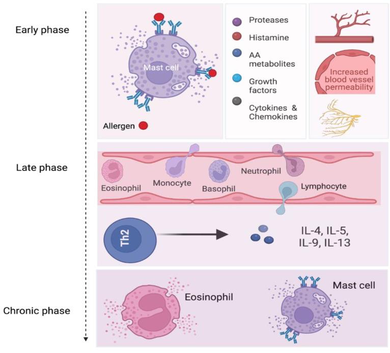 https://cdn.ncbi.nlm.nih.gov/pmc/blobs/004c/9599528/0d31b28bb153/biomedicines-10-02486-g001.jpg
