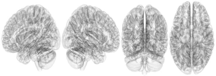 https://cdn.ncbi.nlm.nih.gov/pmc/blobs/004e/10670044/afcf90df88f6/brainsci-13-01560-g005.jpg