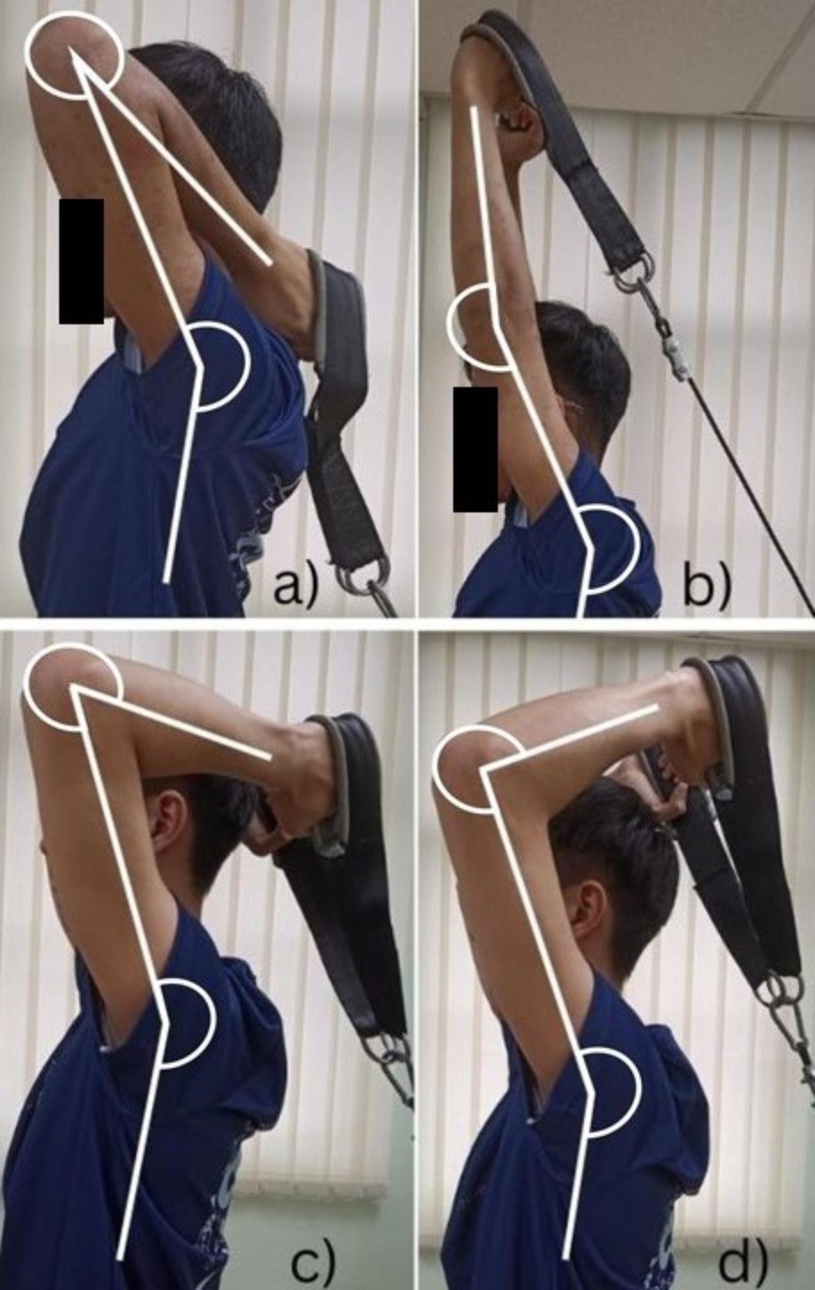 https://cdn.ncbi.nlm.nih.gov/pmc/blobs/004f/11884187/d6664a056af6/13102_2025_1060_Fig2_HTML.jpg