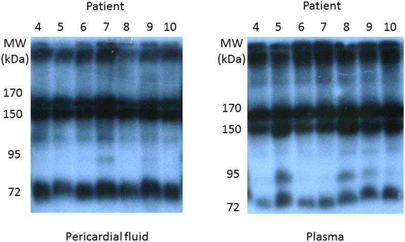 https://cdn.ncbi.nlm.nih.gov/pmc/blobs/0050/4854456/e2de55b2a5d1/pone.0154693.g002.jpg
