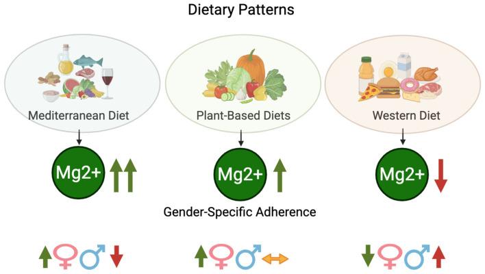 https://cdn.ncbi.nlm.nih.gov/pmc/blobs/0056/12251677/39989d44d9ca/nutrients-17-02226-g003.jpg