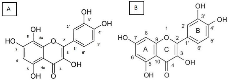 https://cdn.ncbi.nlm.nih.gov/pmc/blobs/0057/10743819/1f2a522c432c/ijms-24-17609-g005.jpg