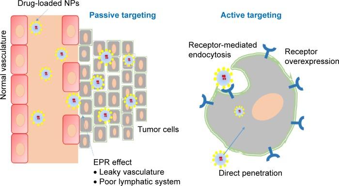 https://cdn.ncbi.nlm.nih.gov/pmc/blobs/005c/5849936/4fc15cfe3ef6/ijn-13-1425Fig1.jpg