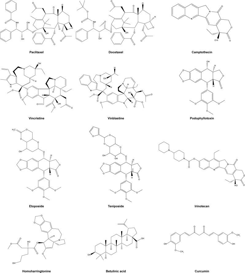https://cdn.ncbi.nlm.nih.gov/pmc/blobs/005c/5849936/5a9a8807f506/ijn-13-1425Fig3.jpg