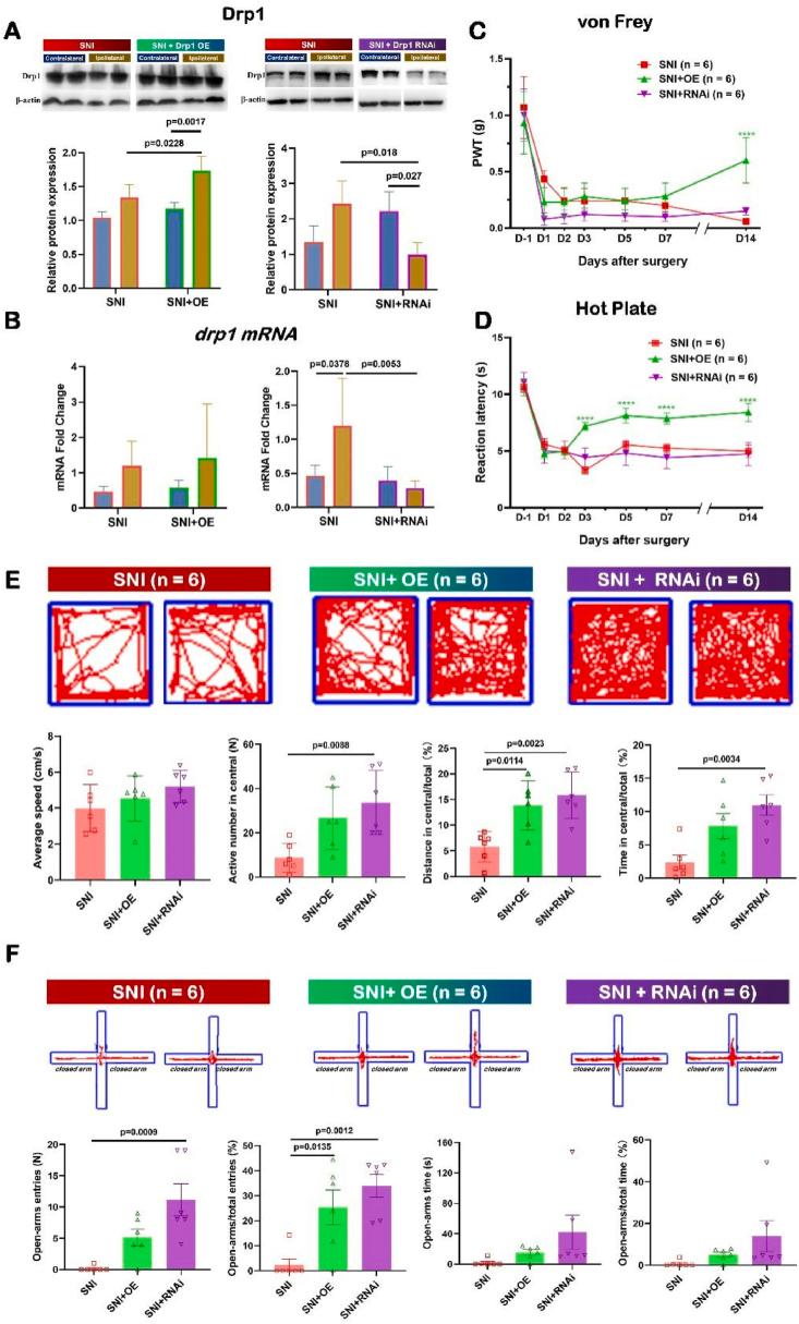 https://cdn.ncbi.nlm.nih.gov/pmc/blobs/005e/8718665/6e824a307f42/gr7.jpg