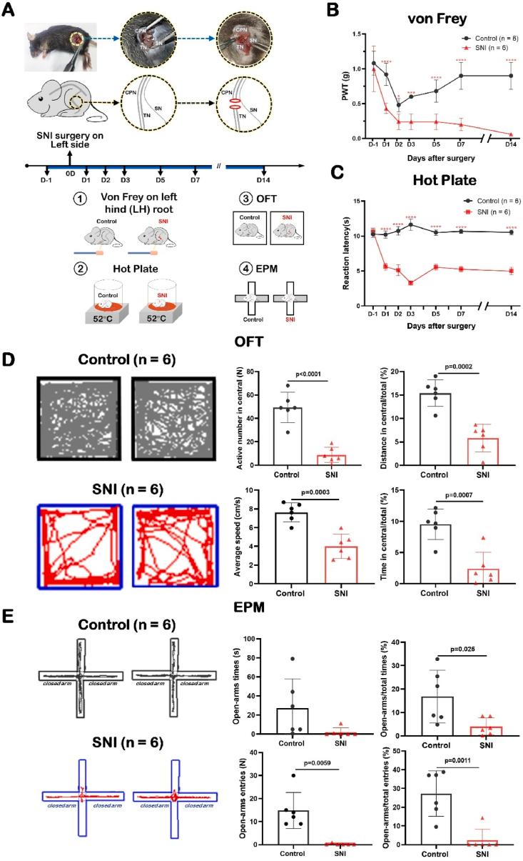 https://cdn.ncbi.nlm.nih.gov/pmc/blobs/005e/8718665/caf55c92870d/gr1.jpg