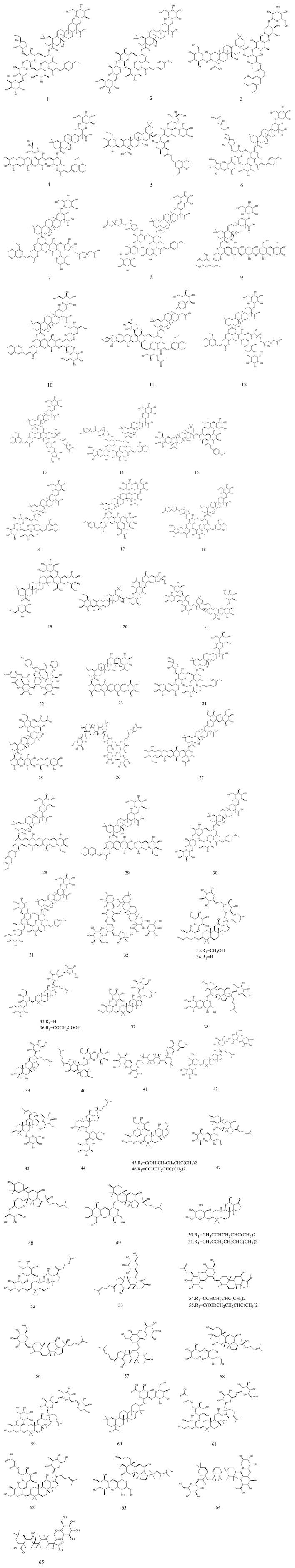 https://cdn.ncbi.nlm.nih.gov/pmc/blobs/0061/10867185/36c3b9890288/fphar-15-1338024-g002.jpg