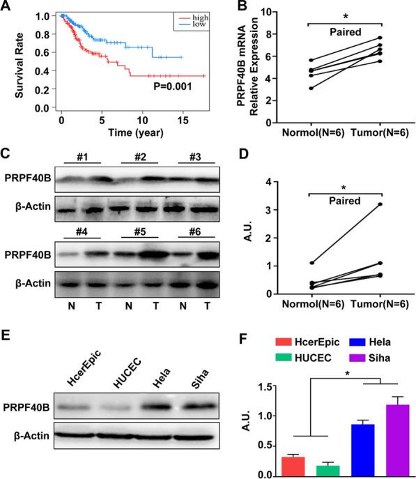 https://cdn.ncbi.nlm.nih.gov/pmc/blobs/0063/10882920/b5f70156da30/12935_2024_3257_Fig8_HTML.jpg