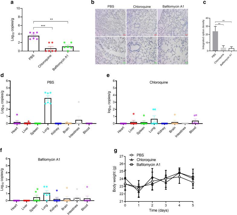 https://cdn.ncbi.nlm.nih.gov/pmc/blobs/0063/7916279/12cb76cd3fc4/12985_2021_1515_Fig3_HTML.jpg