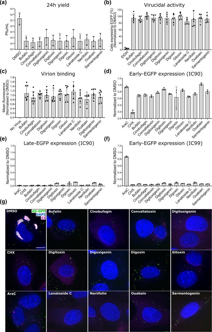 https://cdn.ncbi.nlm.nih.gov/pmc/blobs/0064/10995631/0933ab7ac5d0/jgv-105-01971-g003.jpg