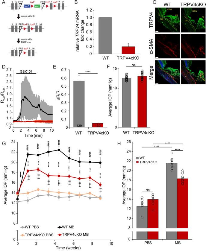 https://cdn.ncbi.nlm.nih.gov/pmc/blobs/0065/11261973/7f3aeac9c820/nihpp-rs4714050v1-f0004.jpg