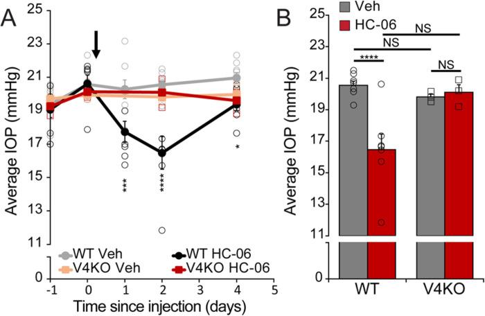 https://cdn.ncbi.nlm.nih.gov/pmc/blobs/0065/11261973/925173d8e7a0/nihpp-rs4714050v1-f0002.jpg