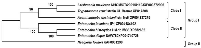 https://cdn.ncbi.nlm.nih.gov/pmc/blobs/0065/11434690/d47ab04c56b0/pathogens-13-00718-g004.jpg