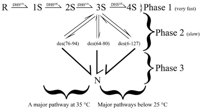 https://cdn.ncbi.nlm.nih.gov/pmc/blobs/0065/7697891/b9318e696a49/molecules-25-05337-g003.jpg