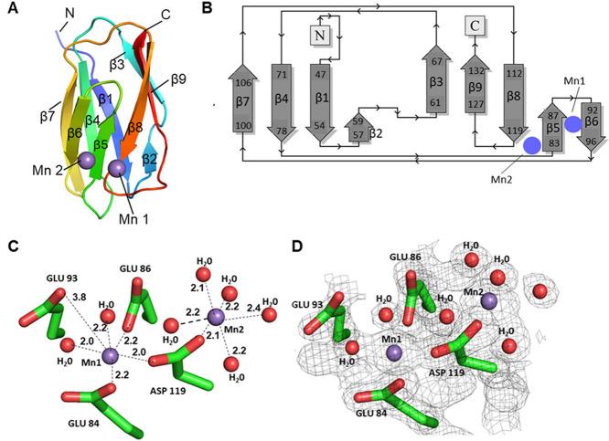 https://cdn.ncbi.nlm.nih.gov/pmc/blobs/0066/11966278/5a174603bd62/ao5c00690_0005.jpg