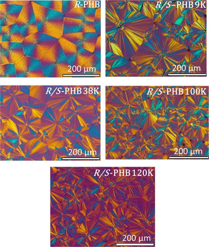 https://cdn.ncbi.nlm.nih.gov/pmc/blobs/0067/9472230/414e5cfe9e2b/bm2c00682_0005.jpg