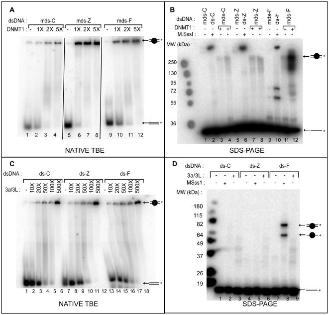 https://cdn.ncbi.nlm.nih.gov/pmc/blobs/0068/2927531/404e780338f8/pone.0012388.g003.jpg