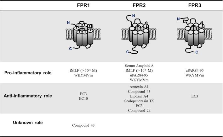 https://cdn.ncbi.nlm.nih.gov/pmc/blobs/006a/8253054/80b0748f0ea0/fimmu-12-685214-g001.jpg