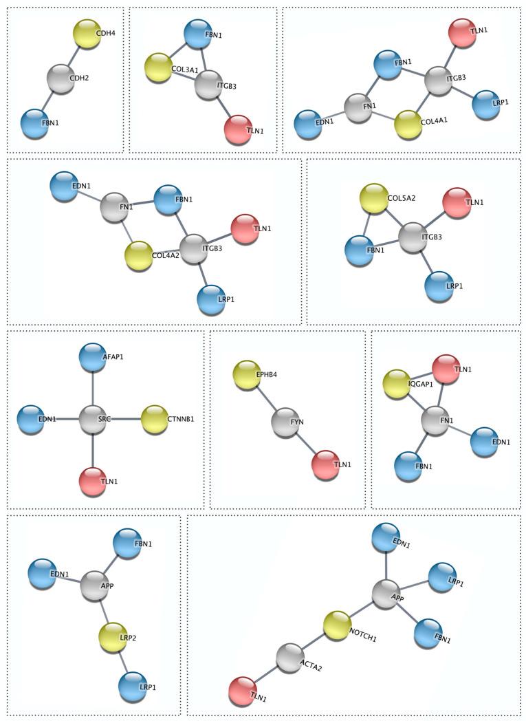 https://cdn.ncbi.nlm.nih.gov/pmc/blobs/006c/10532385/04f0bc48e746/jcdd-10-00393-g005.jpg