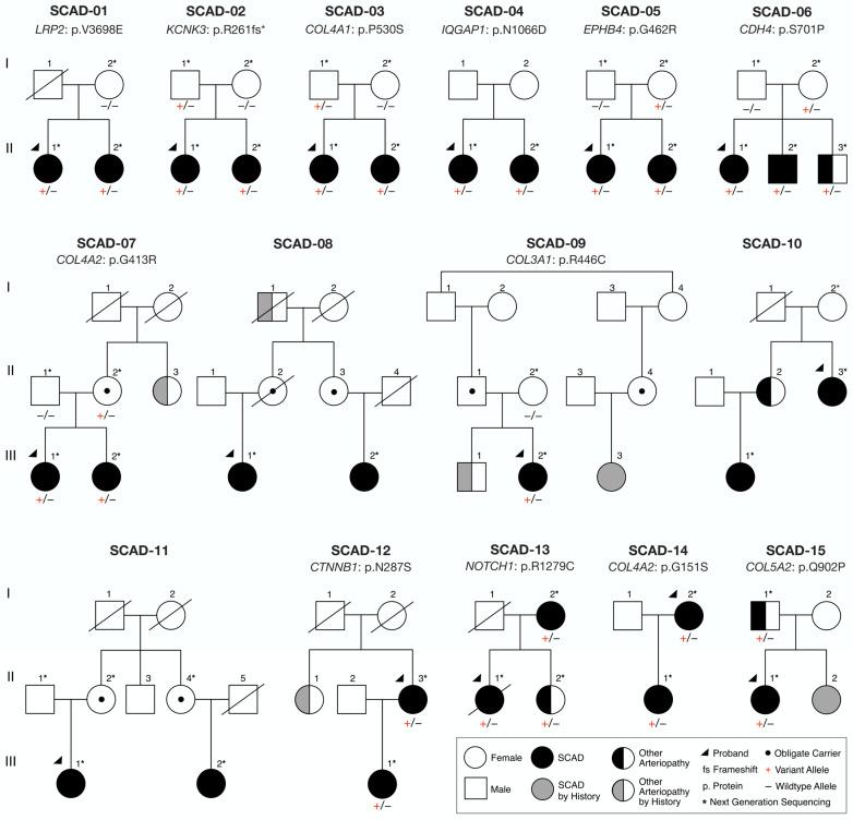 https://cdn.ncbi.nlm.nih.gov/pmc/blobs/006c/10532385/fe32661e808a/jcdd-10-00393-g001.jpg