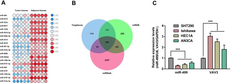 https://cdn.ncbi.nlm.nih.gov/pmc/blobs/006c/7781017/7315f0680110/CMAR-12-13541-g0001.jpg
