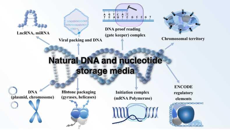 https://cdn.ncbi.nlm.nih.gov/pmc/blobs/006c/9932295/d9e2657b329e/gr2.jpg